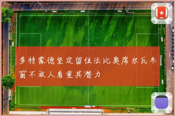 多特蒙德坚定留住法比奥席尔瓦冬窗不放人看重其潜力